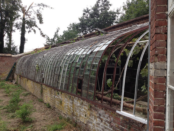 Some image
